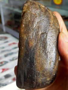 树化玉硅化木木化石原石奇石产地黑龙江478克牛角雕