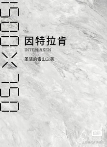 金意陶瓷砖因特拉肯