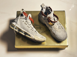 詹姆斯16 hfr 浮雕 狮子头正品40.5 鞋盒配件齐全