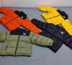 北面1996光绒 细节到位 水洗标齐全 镭射标到位 克重无差