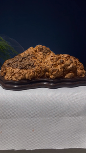 荔枝木香炉树瘤龙眼木香炉熏香炉盘香炉摆件