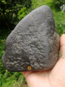 正宗二十年前老货台山玉乌鸦皮原石大料.无裂皮滑双面开小窗口漏