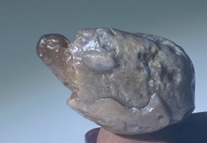 埃及蛋白玛瑙象形石《抬头龟》天然原石奇石造型石  形态逼真