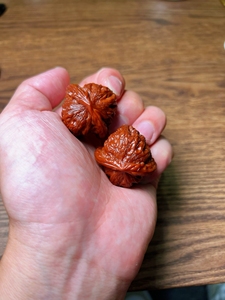 野生白蛇谷狮子头