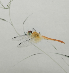 工笔草虫小品蜻蜓,纯手绘桌面小摆件,尺寸10寸相片大小,25