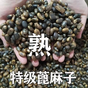 君子兰专用腰肥蓖麻子小麻子脱脂骨松籽核桃仁黑颗粒6种混合,一