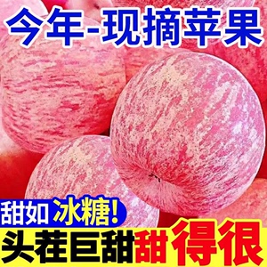 【2024新果】陕西红富士苹果当季新鲜冰糖心苹果十斤水果批发