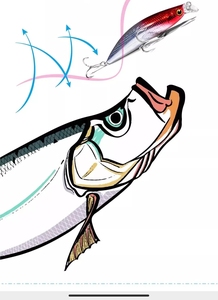 钓之屋狂刀路亚竿,全网收钓之屋狂刀mh872直柄竿竿稍