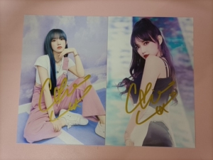 程潇签名照 程潇亲笔签名照许凯周边保真 程潇签名照低价出,一