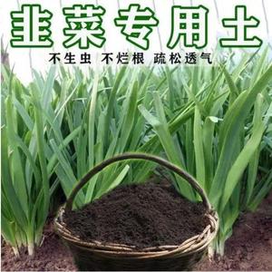 韭菜专用土种菜土营养土盆栽土菲菜土韭菜专用肥蔬菜专用肥料家用