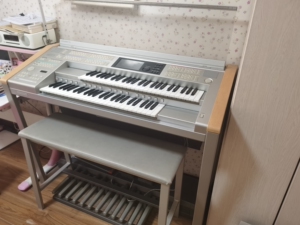 雅马哈双排键02c