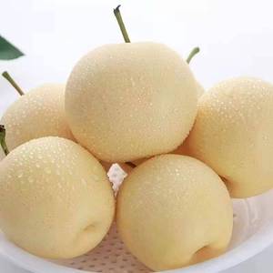 梨子批发10斤薄皮大白梨皇冠梨当季水果整箱梨包邮止咳超甜5