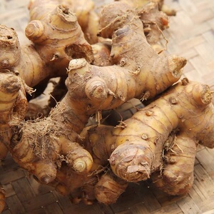 山姜野生 多年南姜新鲜 广西山姜头 卤水牛肉火锅去膻调味调料