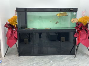 龙潭新兵 水猎人 九鼎 彩鲽 大型龙鱼缸 高端鱼缸定制