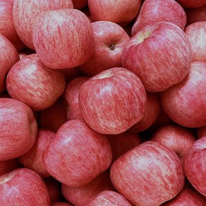 【现摘新鲜速发】陕西红富士苹果冰糖心苹果当季新鲜水果整箱批发