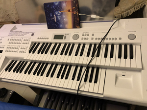 加盟玖月音乐的双排键 雅马哈elb02 99成新 买的是教师