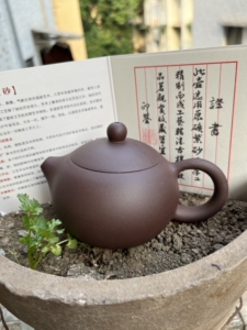 陆彩琴老师作品,紫砂壶紫泥西施壶,容量250毫升左右,嵌盖工