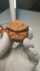 麒麟纹龟背小飞机单只文玩核桃,,边45,肚45,高38,完美