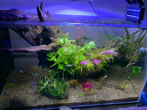 00万达购物广场20店淘宝包邮台湾亿鼎超白玻璃鱼缸草缸大中小型开放