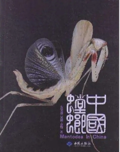 中国螳螂 螳螂图鉴 螳螂饲养 爬虫饲养 爬虫书籍中国螳螂