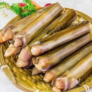 004人付款天猫蛏子鲜活蛏子肉超大竹蛏子新鲜现剥海鲜水产海捕海圣子