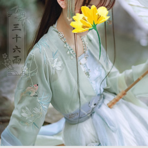 三十六雨惊鸿上襦 汉服 m码绿色全新 买的时候是158现在降