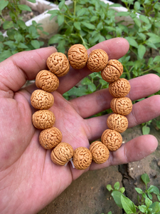 精选矮桩苹果园桃核手串,颗颗精挑细选,姜黄皮品质自然光拍照