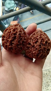 个人纯手盘包浆玉化,文玩核桃,《收藏传承级中国大花大刺》,现