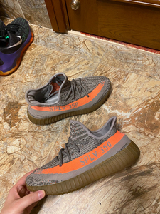 表弟不住我家了 他的阿迪达斯adidas椰子 sply350