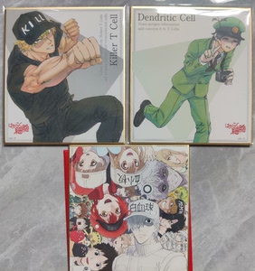 工作细胞 血小板 白血球 杀手t细胞 树突状细胞