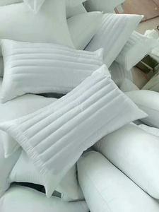 #枕头 #星级酒店同款 酒店专用枕芯，面皮布料采用40s*4