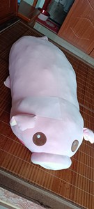 大只猪毛绒娃娃闲置在家占位置放着家里表面有点脏，便宜处理吧