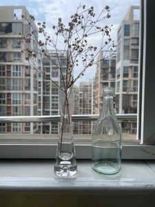 异性透明玻璃小花瓶10元2个，高度都是15cm，轻微使用痕迹