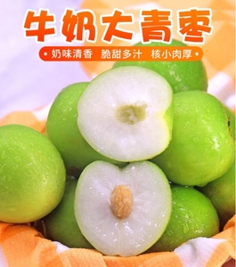 青枣海南