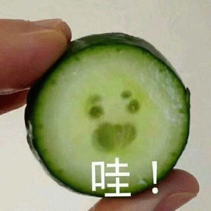 崔江卉,左手指月,古筝简谱