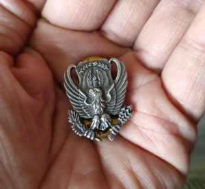 美国原品空军预备役军官团领花领徽领标