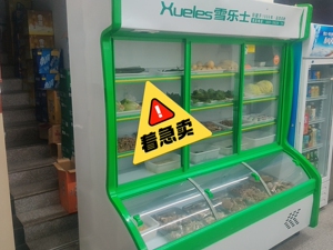 雪乐士冰柜