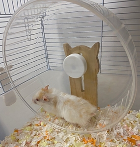 仓鼠静音跑轮透明23cm带支架滚轮转轮仓鼠玩具大号17cm跑