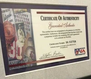 NBA  球星签名鉴定   球星卡  球衣签名  签名照鉴定