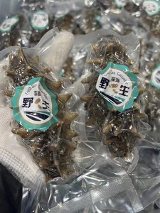 【每天新加工好口感海参品质】大连辽参深海即食海参超大头便宜出