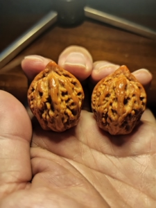 秦岭小粗筋秋子手捻  机刷轻上色包浆,手感不错的指尖小玩意