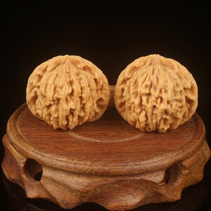 文玩核桃矮桩官帽