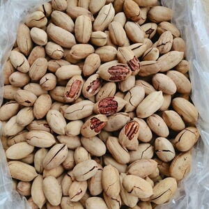 新疆优质碧更果大个头长寿果坚果零食好剥皮