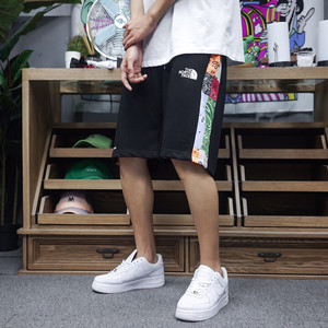 tnf20ss北面联名多色腰果花700小标拼接短裤