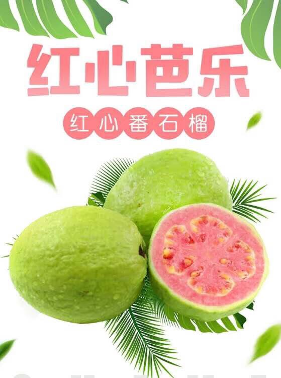 (23.9抢5斤)福建红心芭乐番石榴红心果5斤新鲜水果白心芭
