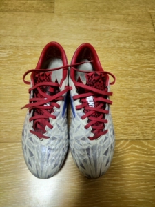 安踏雄狮顶级足球鞋,郑智同款,40码fg,jp250,此款大