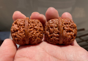 铁核桃龙眼粗筋元宝肚子39,云南野生非三棱四棱铁核桃