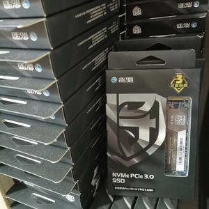 全新影驰黑将pro 500g m2nvme固态