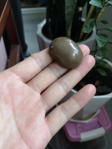 新疆和田玉且末纯糖随形挂件,细麻糖,已修型抛光好,油坨子一个