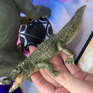 papo正品仿真动物模型玩具 短吻鳄 2019年新款新全新正